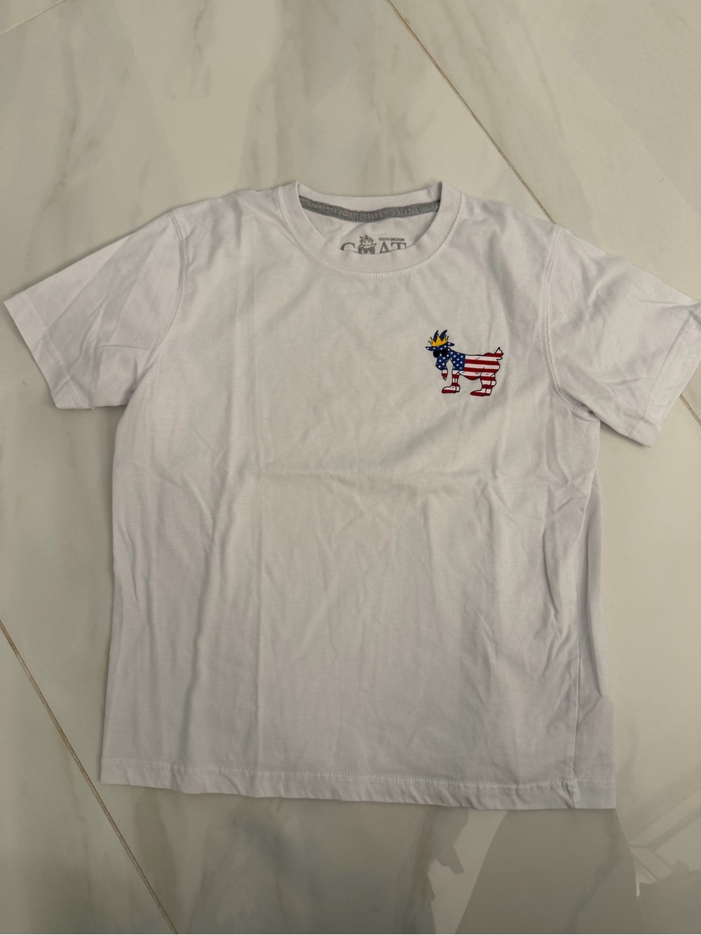 White Kids Short Sleeve Tee with American Flag Dog Embroidery - Unbranded
